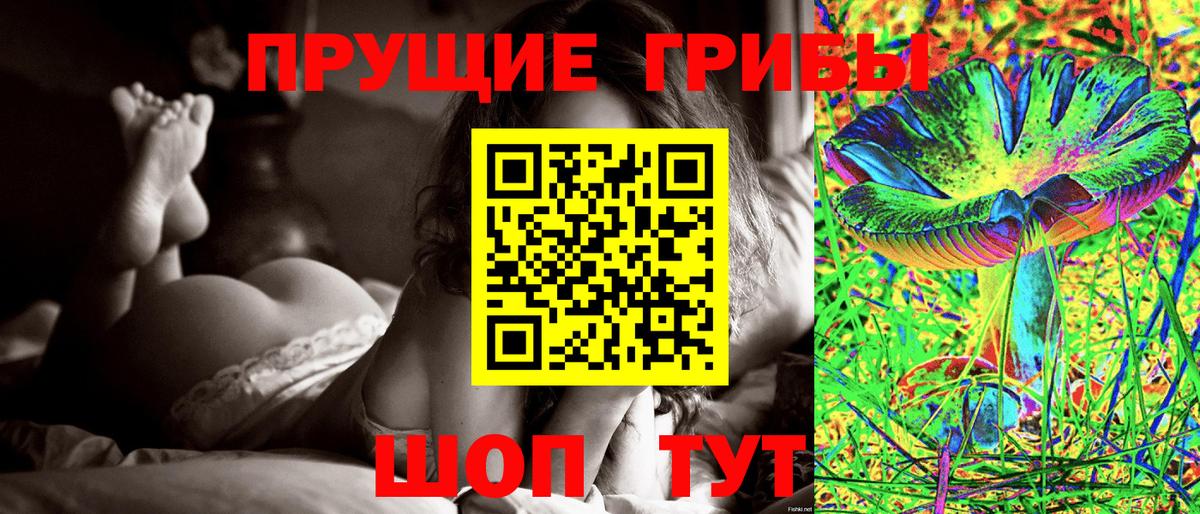 Дзержинск  Галлюциногенные грибы Psilocybe  Вход с VPN  Псилоцибиновые грибы Psilocybine cubensis 