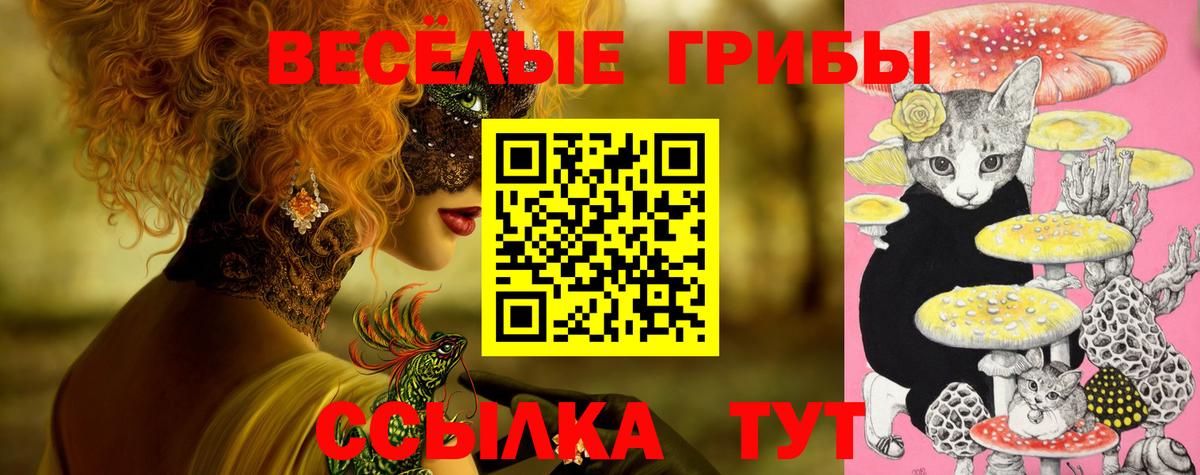 Псилоцибиновые грибы мухоморы Дзержинск